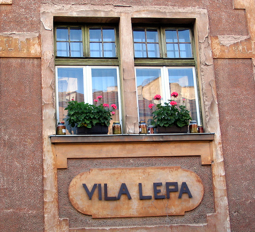 Vila lepa